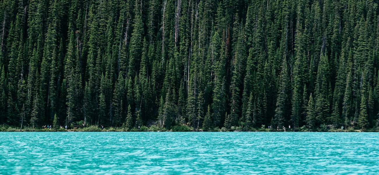 Environment